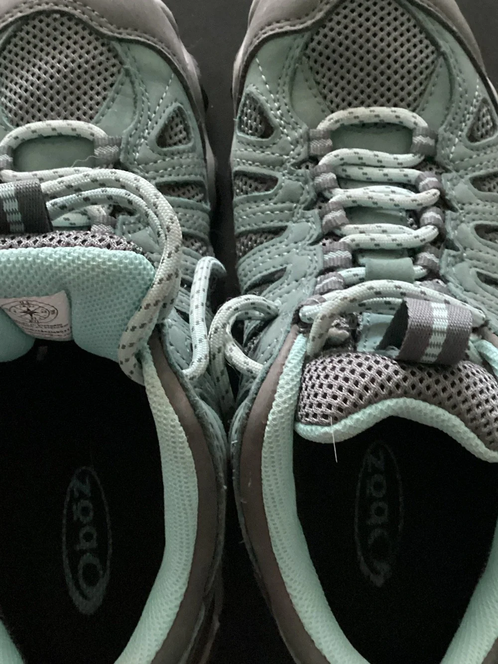 Oboz Footwear mint green